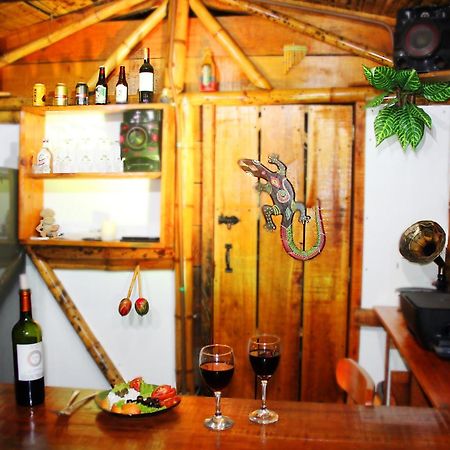 Ecolodge Puente Explanacion Salento Extérieur photo