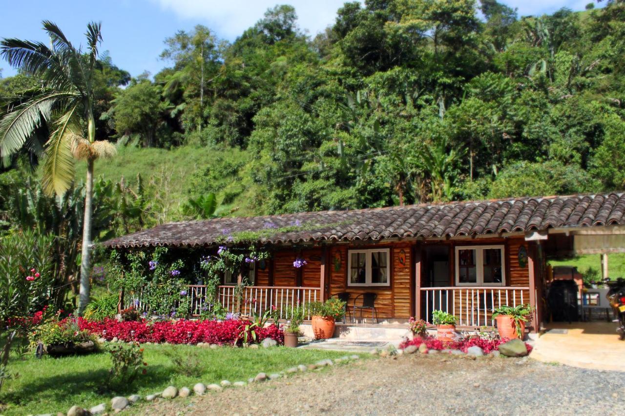 Ecolodge Puente Explanacion Salento Extérieur photo