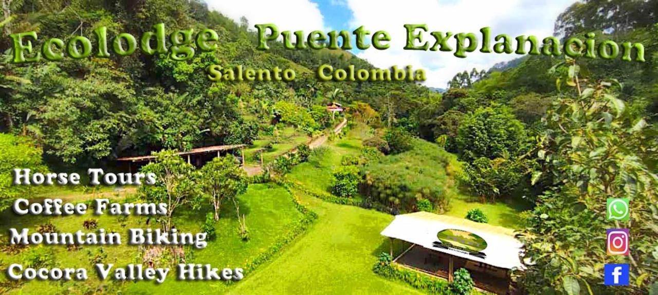 Ecolodge Puente Explanacion Salento Extérieur photo