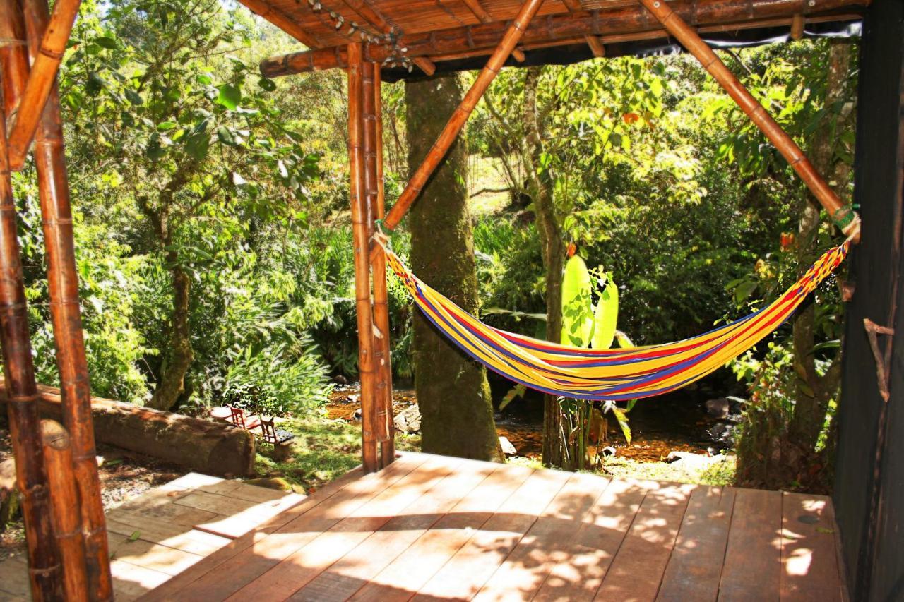 Ecolodge Puente Explanacion Salento Extérieur photo
