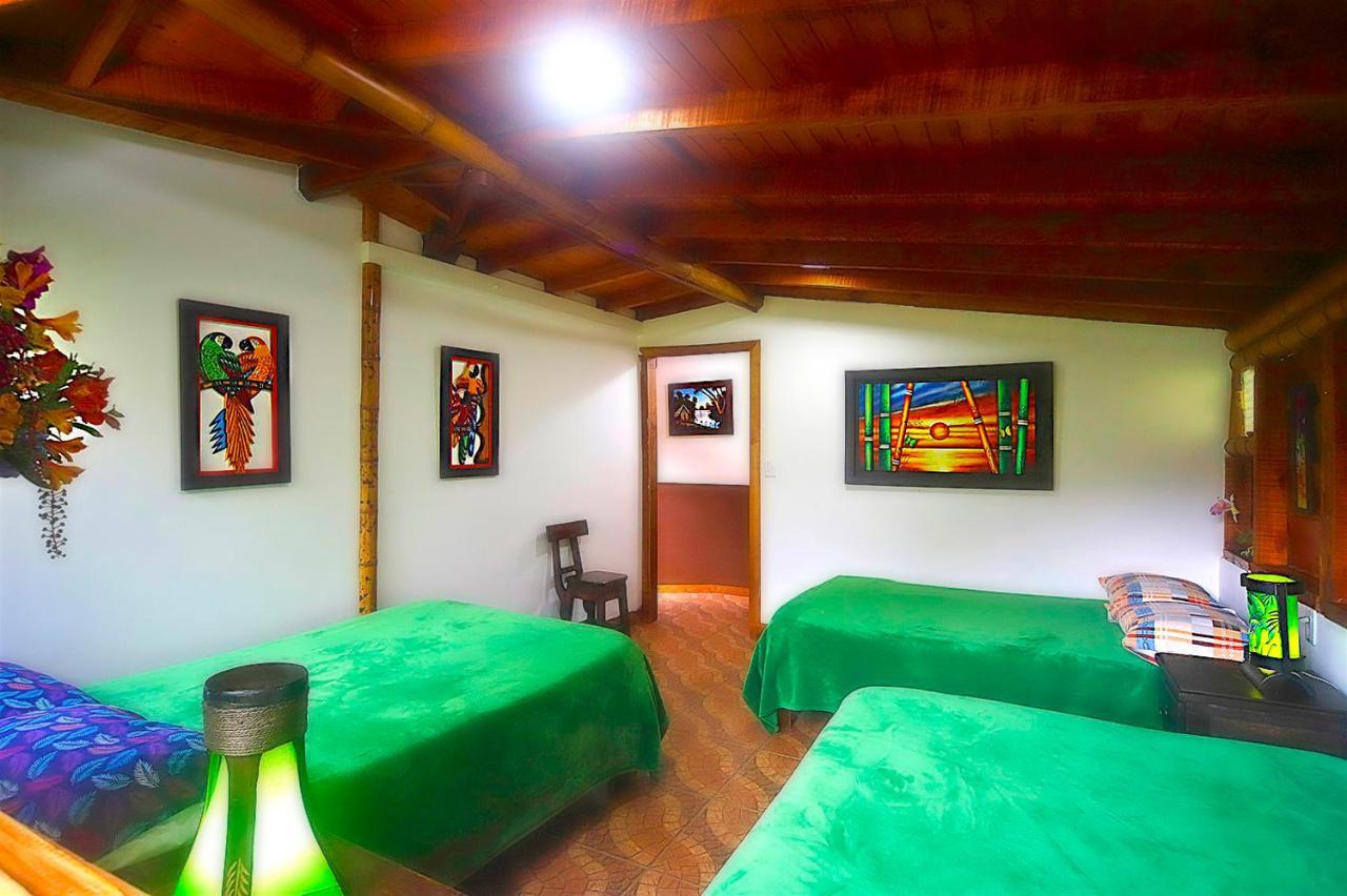 Ecolodge Puente Explanacion Salento Extérieur photo